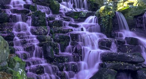 1948 Beautiful Purple Waterfall Stock Photos Free And Royalty Free
