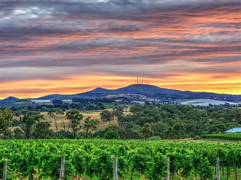 A Gourmets Guide To The Best Food And Wine In Orange Travel Insider