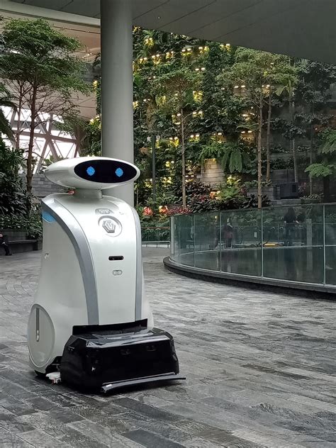 how robots are revolutionalising the guest experience at jewel