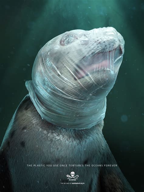 Pictures Of Sea Animals Stuck In Plastic