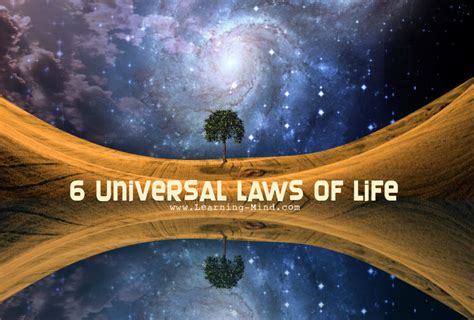 The 6 Universal Laws Of Life That Govern Everything Learning Mind