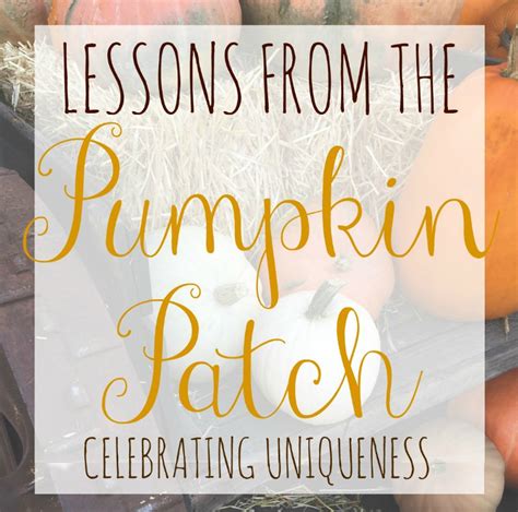 Lessons From The Pumpkin Patch Celebrating Uniqueness Salvage Sister