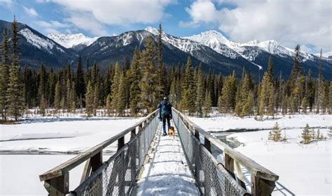 What To Do In Kootenay National Park In Winter Hike Bike Travel
