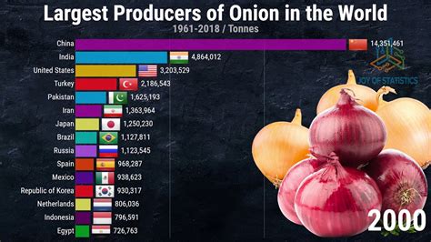 Worlds Top Onion Producing Countries Youtube