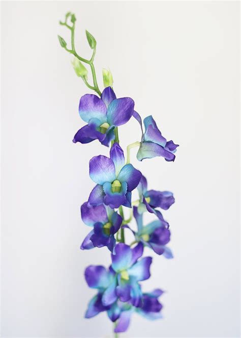 silk dendrobium orchid spray in violet purple and blue 35 tall purple flower tattoos