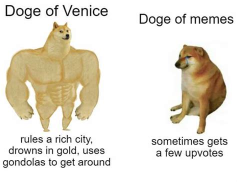 Doge Of Venice Doge Of Memes Rules A Rich City Drowns In Gold Uses