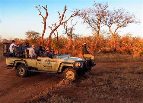 Rinocerontes Em Safari No Kapama Para Viagem
