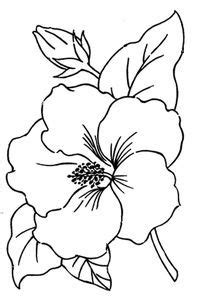 41 tattoo vorlagen und zeichnungen (kostenlos zum ausdrucken) autor: ausmalbilder kostenlos - Hibiskus -malvorlagen vol 5301 | Simple flower drawing, Embroidery ...