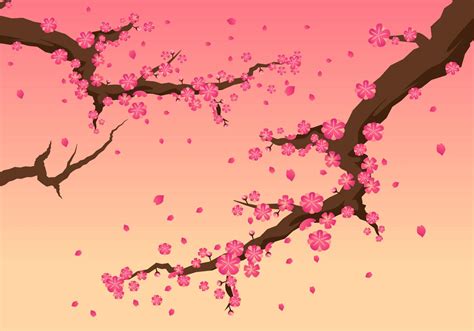 Beautiful Cherry Blossom Vectors 273762 Vector Art At Vecteezy