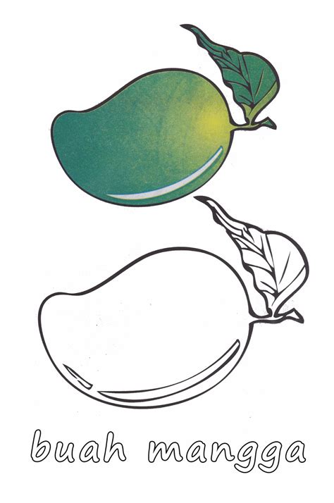 Gambar sketsa buah apel berwarna. Gambar Mewarnai Buah Apel dan Mangga Untuk Anak PAUD dan TK