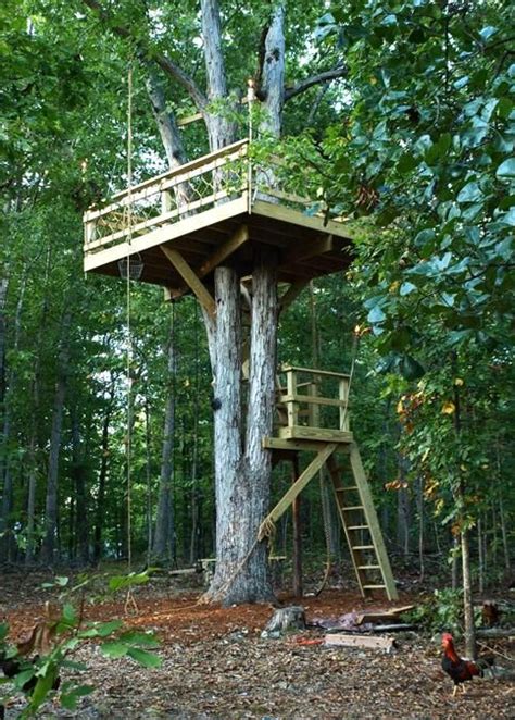 30 Tree Perch And Lookout Deck Ideas Adding Fun Diy