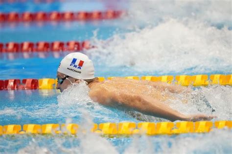 Natation L On Marchand Le Nageur De Toulouse Domine Le Monde Avec Une