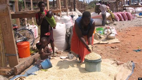 Un Food Expert Asks Malawi To Reconsider Farm Subsidies