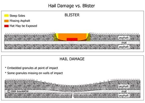 Mastering Roof Inspections: Asphalt Composition Shingles ...