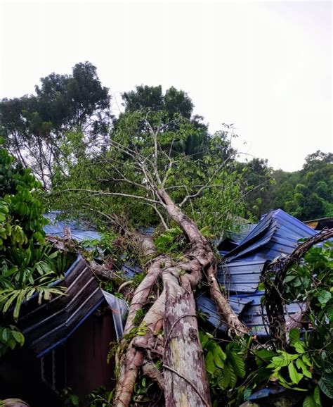 Majlis bandaraya shah alam (mbsa) menjadi pihak berkuasa tempatan (pbt) pertama di malaysia menubuhkan pusat transit warga emas di kompleks warga emas seksyen 24, shah alam. Warga emas cemas rumah dihempap pokok - Utusan Digital