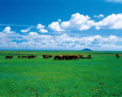中国最美的六大草原画廊中国国家地理网