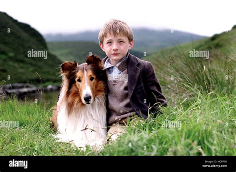 Lassie Lassie Jonathan Mason 2005©roadside Attractionscourtesy