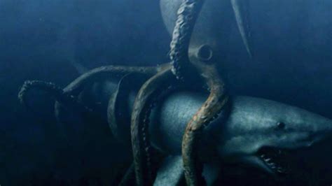 10 Biggest Megalodon Enemies Ever Existed! - YouTube