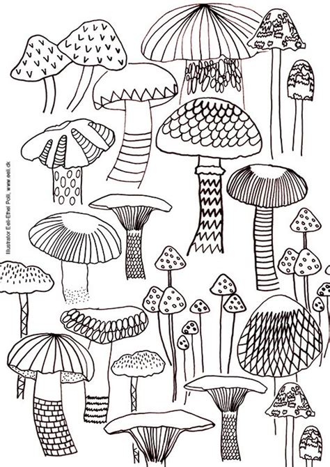 Vanessa kip fruits, berries and vegetables coloring pages. Mushroom coloring sheet A4 printable instant download ...