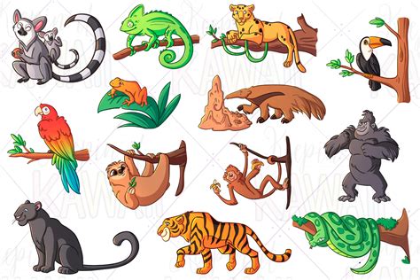 Rainforest Animals Clip Art Gráfico Por Keepinitkawaiidesign · Creative