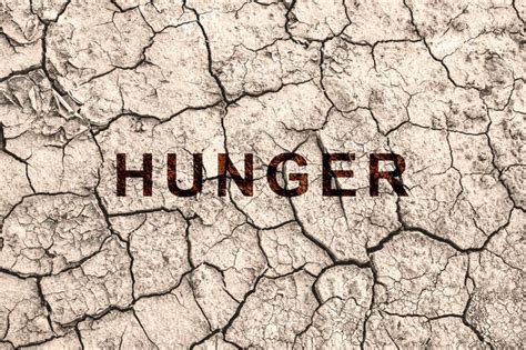 Premium Photo Hunger In The World Food Crisis Failed Grain Crops