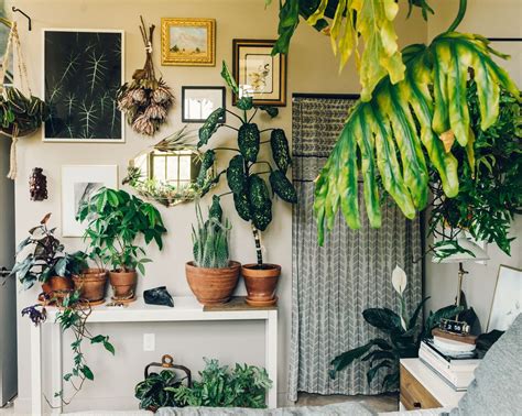 Art And Plant Shelf Trend Decorating Ideas Living Room