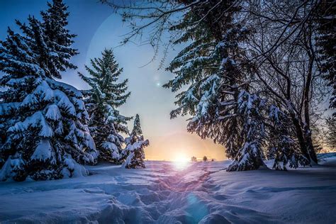 Winter wonderland backgrounds free download | PixelsTalk.Net