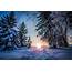 Winter Wonderland Backgrounds Free Download  PixelsTalkNet