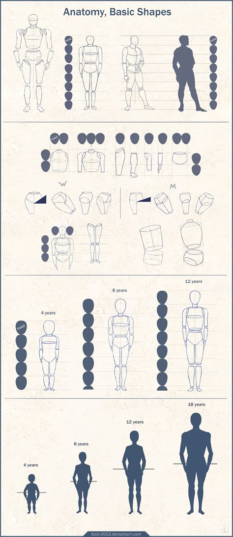 Guías De Dibujo Anatomía Y Movimientos Del Cuerpo Frogx Three