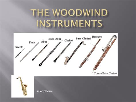 What Are The Two Groups Of Woodwind Instruments Called