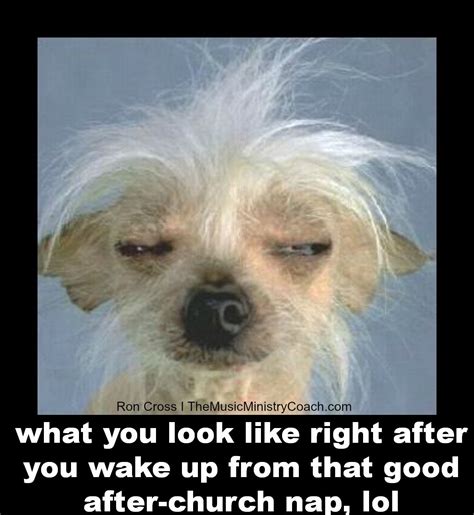 Or That U Was Dog Tired Going To Bed And Slept That Good