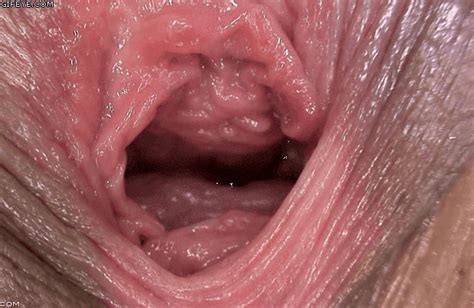 Pulsating Cock In Vagina