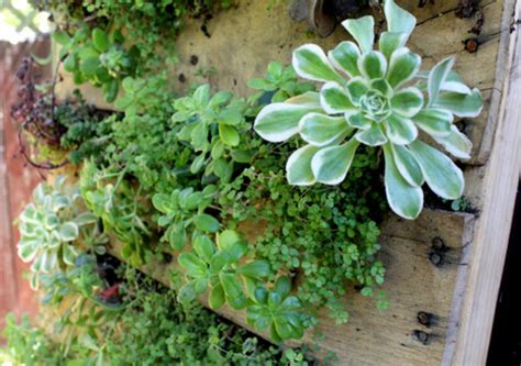 Viel gutes kommt ja bekanntlich von oben, warum dann nicht auch dein garten? Vertikaler Garten Anleitung - noch ein DIY Projekt aus ...