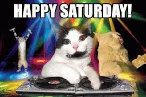 Saturday Quotes Ood Morning Cats 5482 Happy Birthday Cat Happy