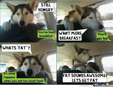 Adorable dog memes to put a smile on your face. Lets Get Fat Dogs by rannieboy444 - Meme Center