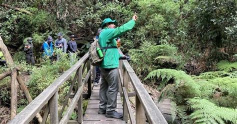 Caminatas Ecológicas En Bogotá 5 Senderos De Los Cerros Orientales