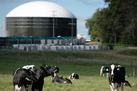 Converting Biowaste To Biogas Could Power Cleaner Sustainable Earth Future