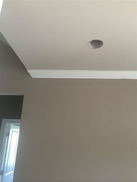 4.6 out of 5 stars 125. Sherwin Williams Mega Greige with Sherwin Williams anew ...