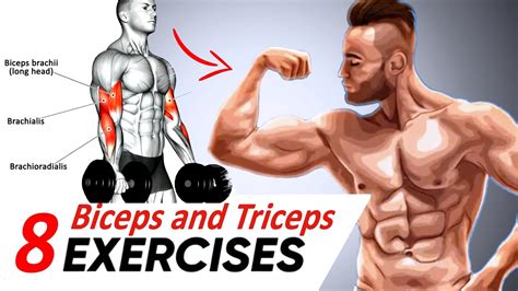 How To Build Big Biceps And Triceps Fast 8 Exercises