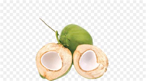 água De Coco Es Kelapa Muda Leite De Coco Png Transparente Grátis