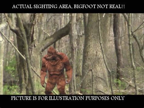 Bigfoot Sighting In Ohio ~ The Crypto Crew