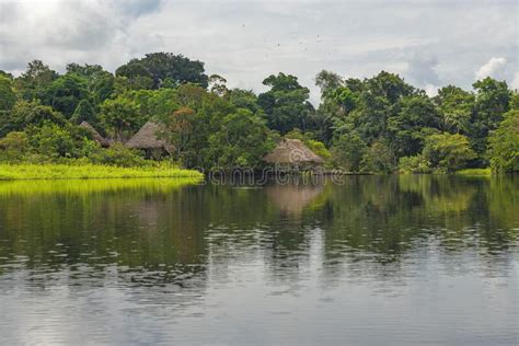 Amazon Rainforest Lodge Reflection South America Stock Photo Image