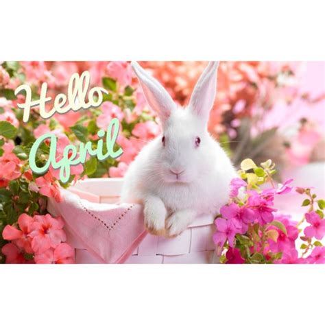 Hello April Rabbit Wallpaper Easter Wallpaper Bunny Wallpaper