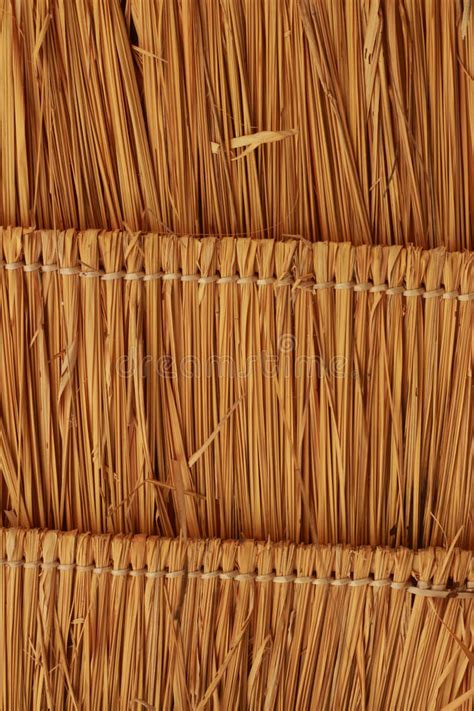 Straw Thatched Roof Backgroung Stock Photo Image Of Fence Background