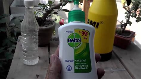 How To Pesticide Homemade Bug Spray For Plants Natural