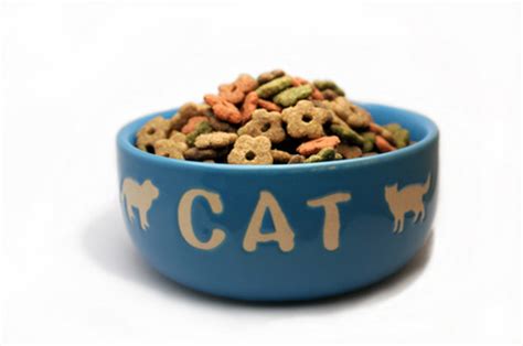 Love making homemade cookies and treats? Homemade Cat Food Recipes - CDKitchen
