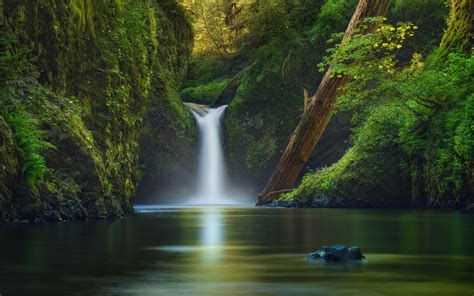 Wallpaper Usa River Waterfall Trees Green 1920x1200 Hd Picture Image
