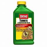 Best Termite Treatment Chemicals Photos