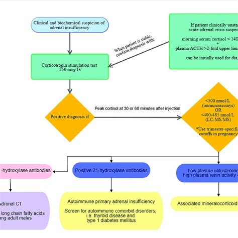 Proposed Diagnostic Approach For Primary Adrenal Insufficiency In