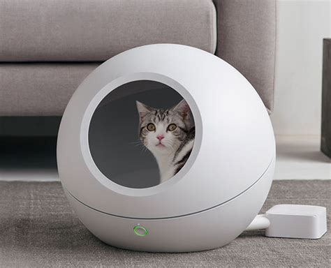 25 Of The Best Cat Beds Review And Buying Guide Petmoneysaver